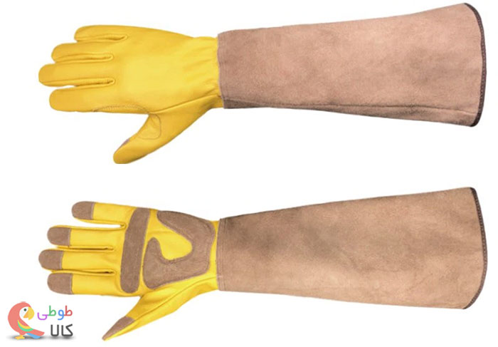 دستکش چرمی باغبانی