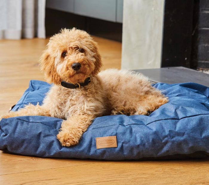 تشک خواب ساده سگ