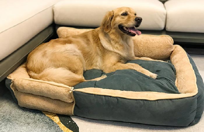 جای خواب لبه دار سگ