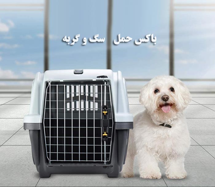 راهنمای خرید باکس حمل سگ و گربه