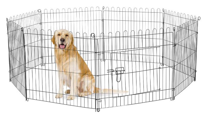 محوطه بازی سگ