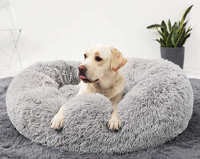 عکس جای خواب بالشی سگ