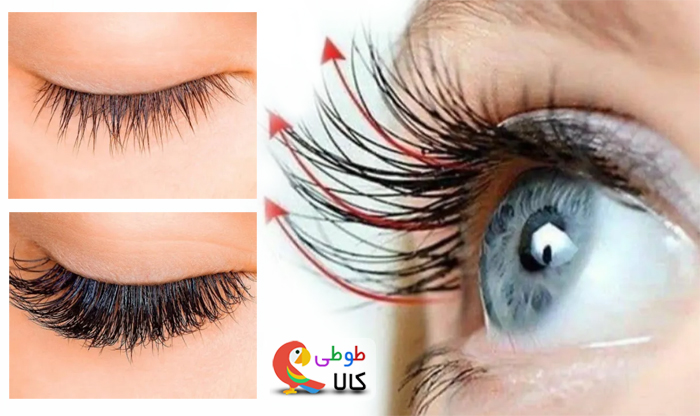 چگونه مژه های خود را تقویت کنیم