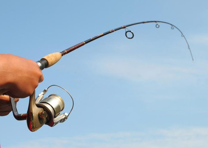 عکس چوب ماهیگیری