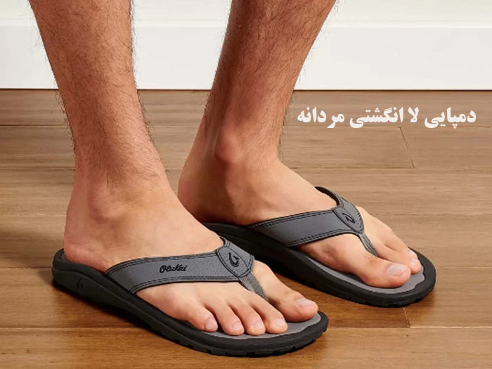 دمپایی لا انگشتی مردانه