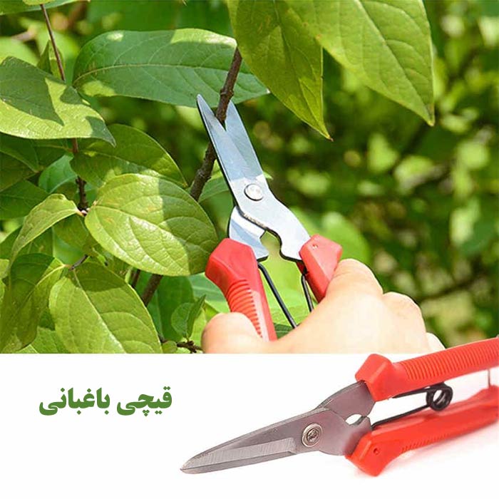 قیچی باغبانی