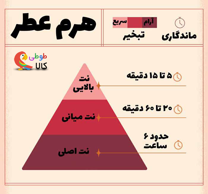 هرم انواعنت های عطر