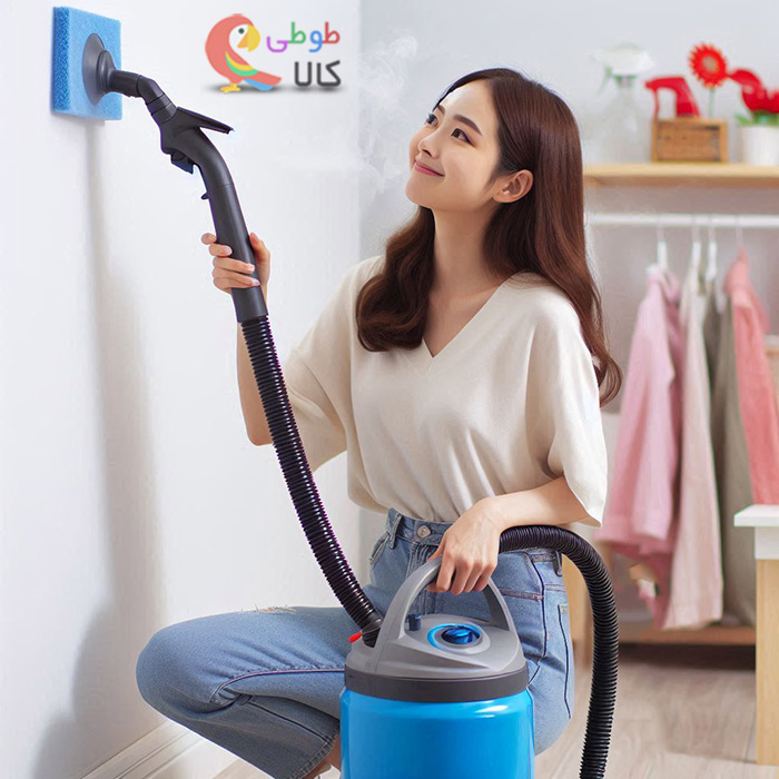 شستشوی دیوار با بخارشوی