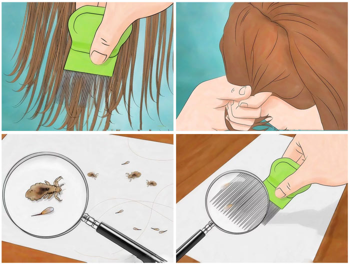 طرز استفاده از شانه ضد شپش