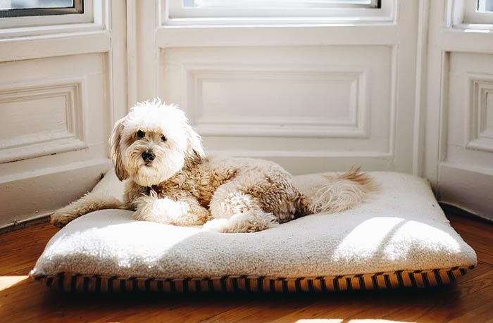 جای خواب شکل تشک و بالش