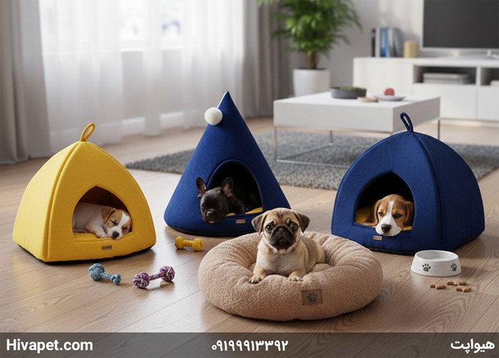 جای خواب سگ