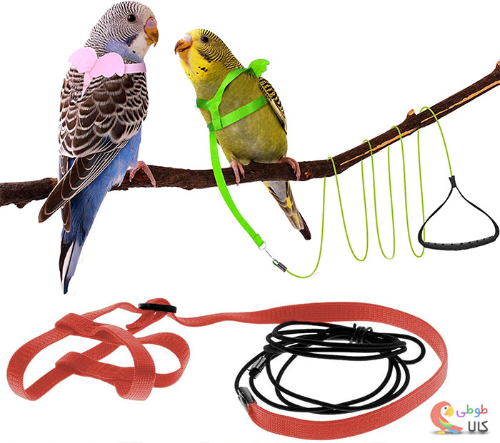 جلیقه پرواز پرنده