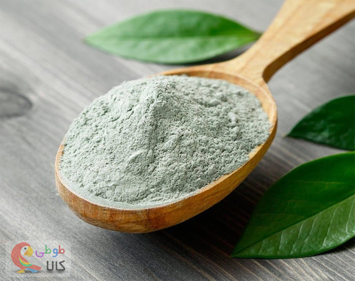 خاک رس سبز فرانسوی