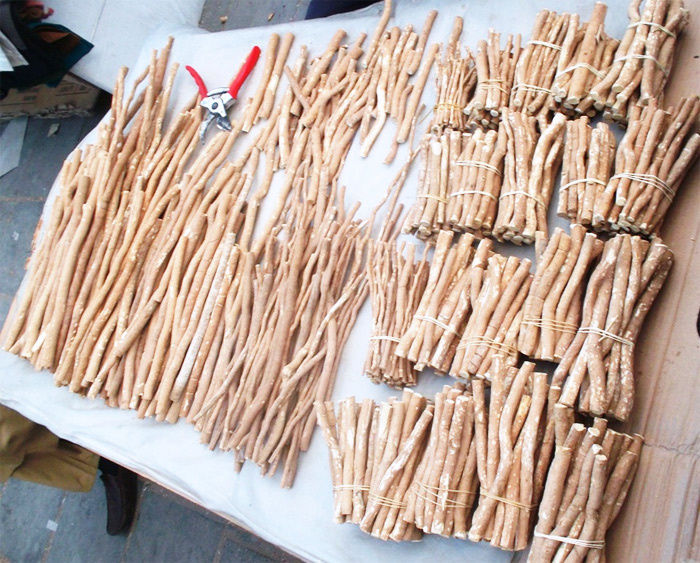 مزایای چوب مسواک