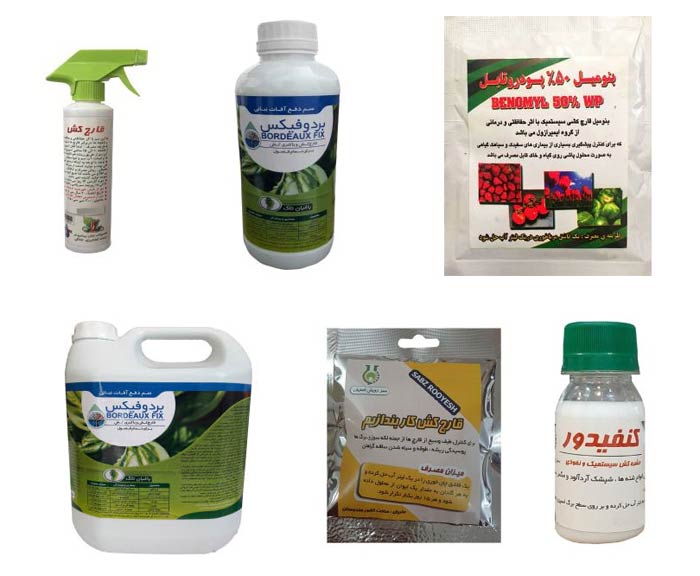 خرید اینترنتی سم قارچ کش