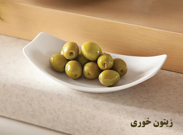 راهنمای خرید زیتون خوری