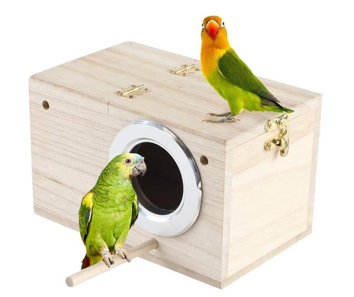 راهنمای خرید لانه پرندگان