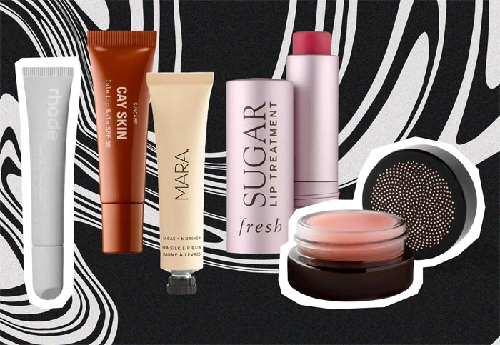 انوع بالم لب