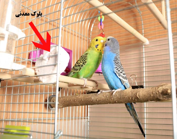 نحوه استفاده از سنک بلوک معدنی پرندگان