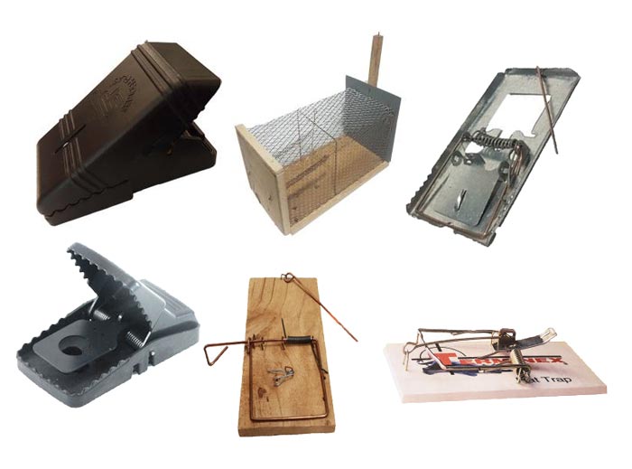 بهترین مدلهای تله موش