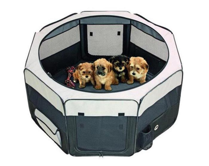 پارک سگ برزنتی