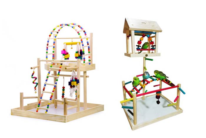 پارک بازی طوطی