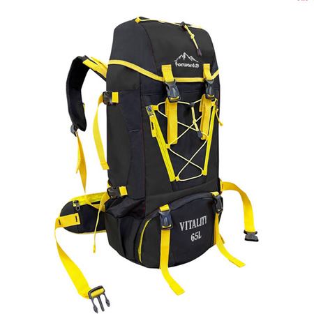 کوله پشتی کوهنوردی 65 لیتری فوروارد مدل FCLT414