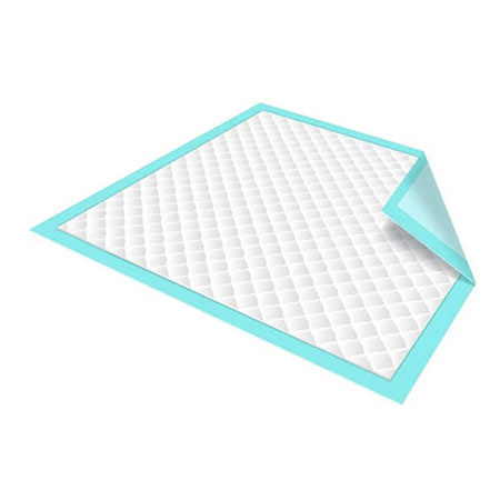 پد آموزش ادرار حیوانات مدل اکونومی بسته 11 عددی