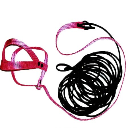 جلیقه پرواز harness مخصوص شاه طوطی با کش 10 متری