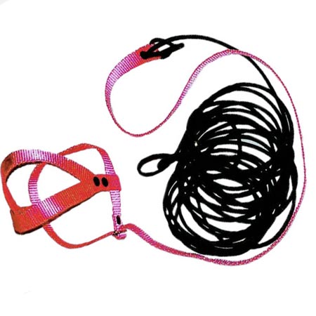 جلیقه پرواز harness مخصوص عروس و گرینچیک و فیشر و مینا