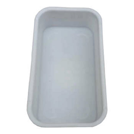 وان ابتنی پرنده رنگ سفید برای پرنده با جثه کوچک