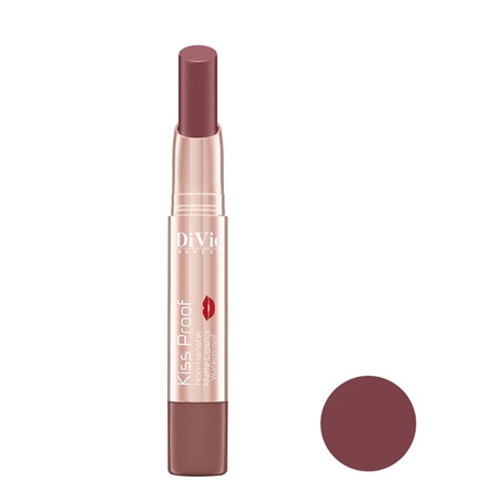 رژ لب جامد دیویو 24 ساعته رنگ کالباسی