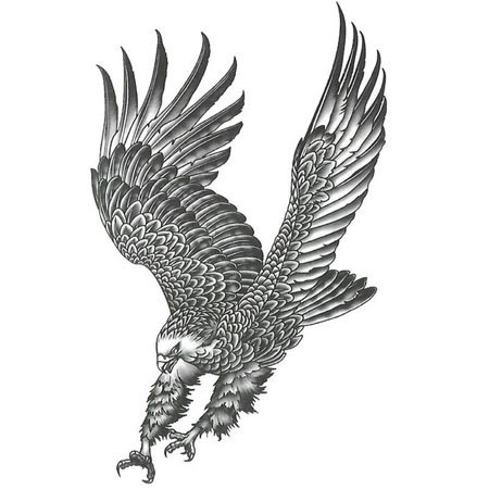 برچسب تتو موقت طرح شکار عقاب