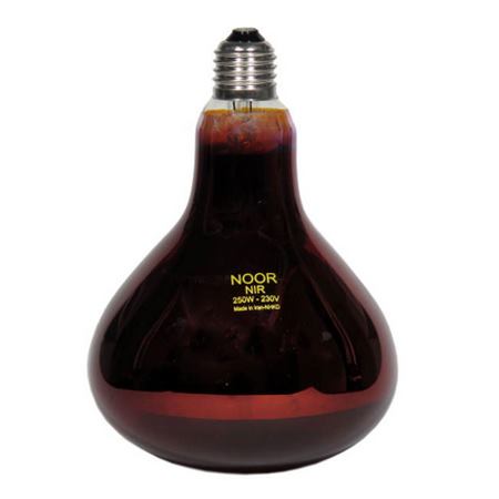 لامپ مادون قرمز 250 وات لامپ نور کد E27