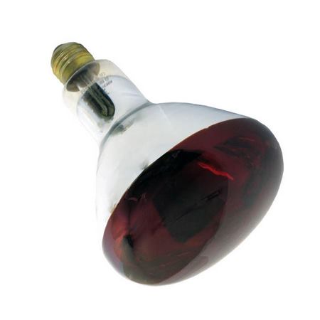 لامپ مادون قرمز 250 وات سیکاترم جنرال پایه E27