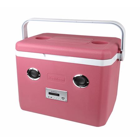 یخدان مسافرتی مدمان مدل کولاک اسپیکر دار 25 لیتری