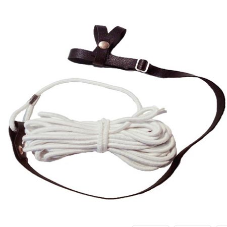 جلیقه پرواز عروس هلندی، گرینچیک، طوطی برزیلی و مینا