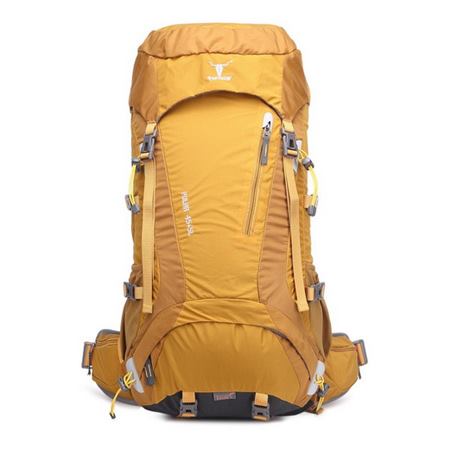 کوله پشتی کوهنوردی 45 لیتری پکینیو مدل 2 POLAR