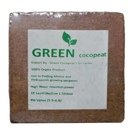 کوکوپیت گرین سیرلانکا وزن 5 کیلوگرم