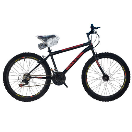 دوچرخه کوهستان ویوا مدل Summer 0001 سایز 26