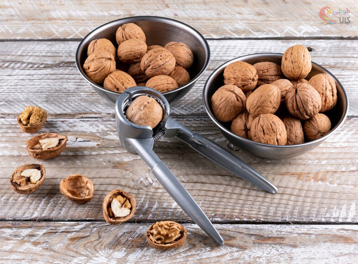 راهنمای خرید گردو شکن