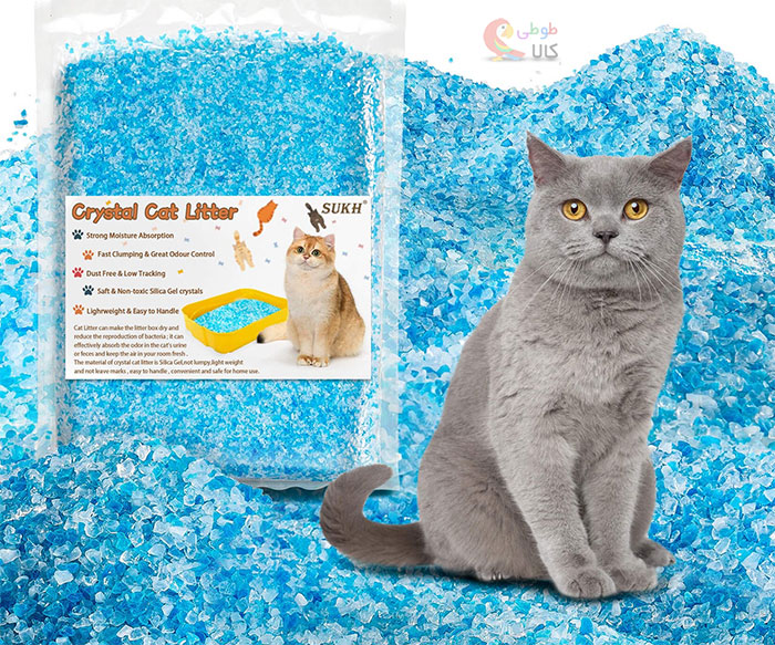 خاک گربه سیلیکونی