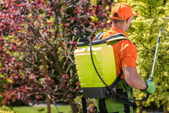 راهنمای خرید سمپاش