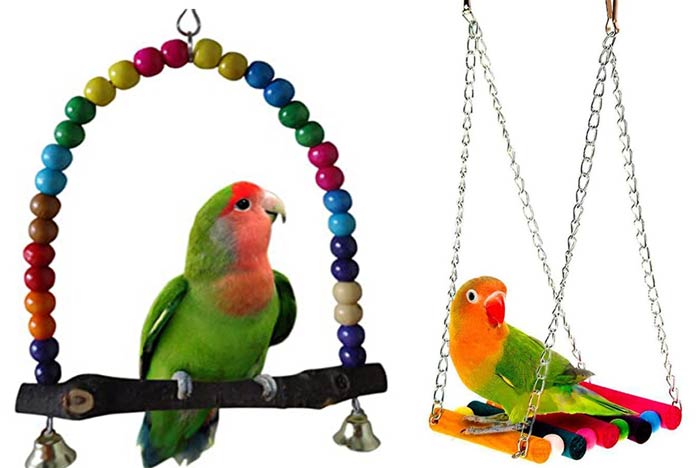 تاب مخصوص طوطی