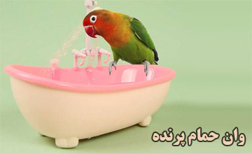 بهترین وان حمام پرنده و بررسی تاثیر آن بر پرندگان