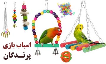 خرید بهترین اسباب بازی پرندگان و بررسی تاثیر آن بر روحیه آنها