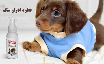 قطره ادرار سگ چیست و نحوه استفاده از آن چگونه است؟