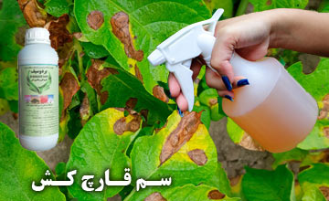 نحوه استفاده از آن قارچ کش چگونه است؟ معرفی قویترین سم ها