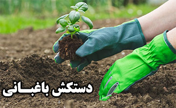 دستکش باغبانی | راهنمای خرید بهترین نوع برای باغ شما