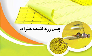 چسب زرد حشرات چیست و نحوه استفاده از آن چگونه است؟